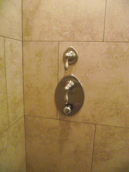 DSCF3829