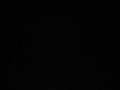 MVI_4135