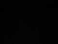 MVI_4145