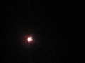 MVI_4148