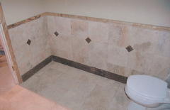 bathroomwalls1