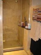 Eden-Shower-Screen-with-Ant