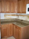 citicore pictures 134
