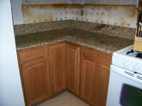 citicore pictures 142