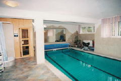 swimming%20pool%20endless%20pool%20indoors